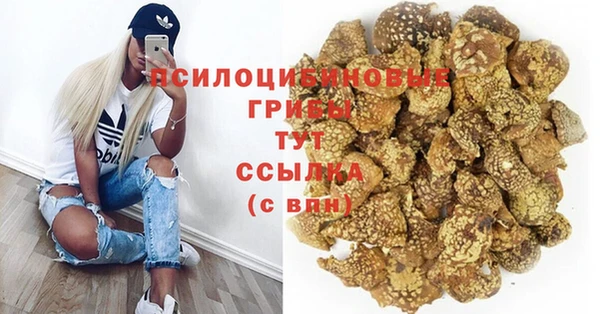 PSILOCYBIN Белоозёрский