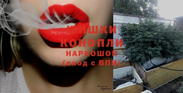 бошки Сясьстрой